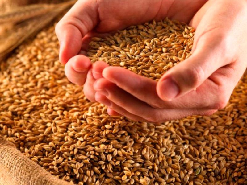 Изображение 70.1.jpg Изображение 70.1.jpg