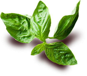 leaves.png курица премиум